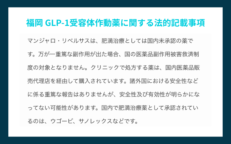 マンジャロ　記載事項