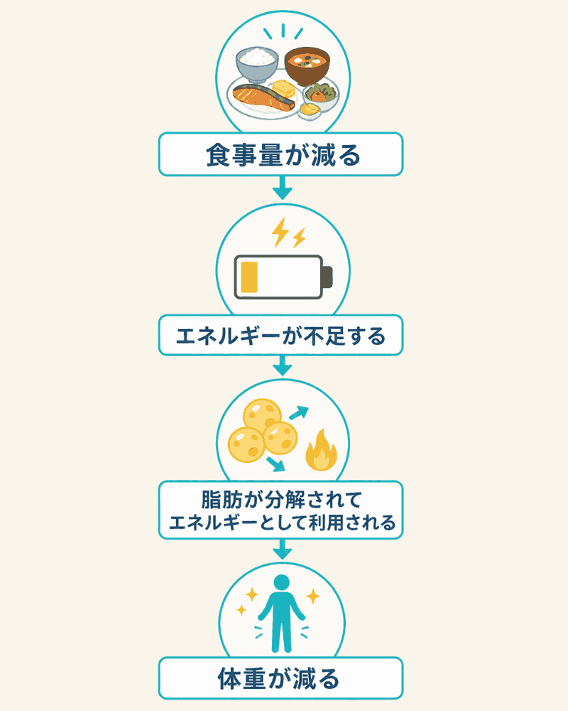 体重が減る仕組み