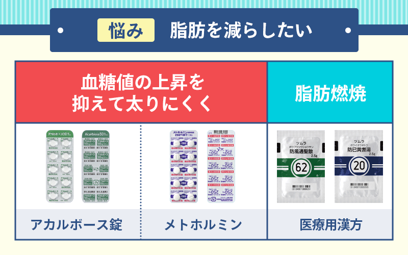 脂肪を減らす薬