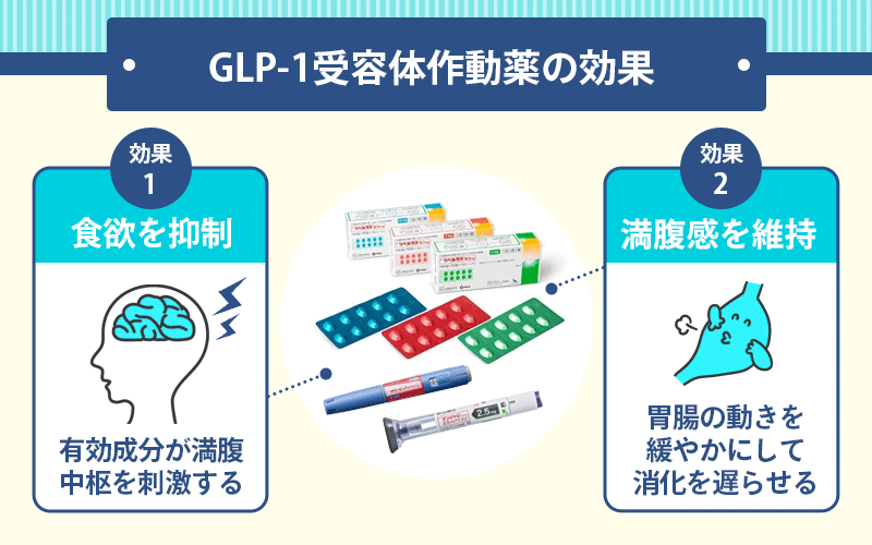 GLP-1受容体作動薬(食欲を抑えて体重を減らす薬)