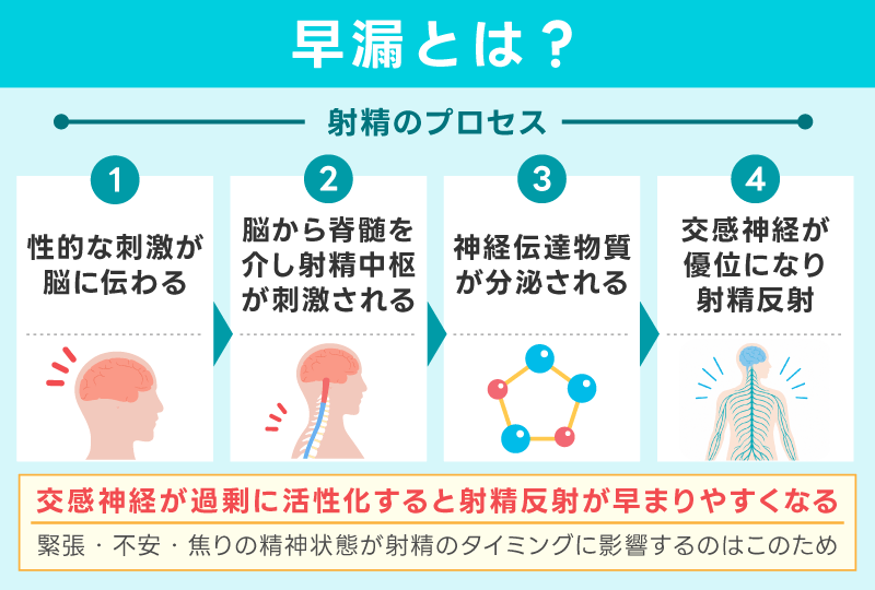 早漏とは？まずは正しい基礎知識を知ろう