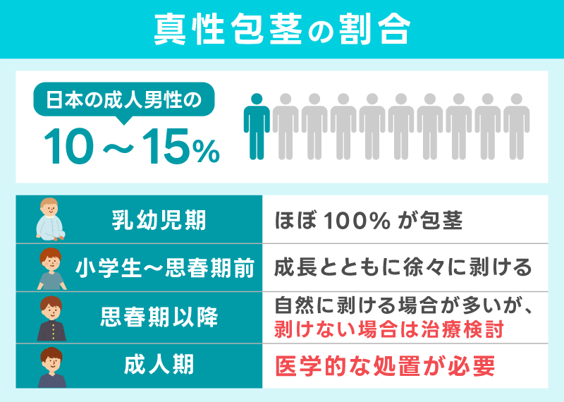 真性包茎の割合